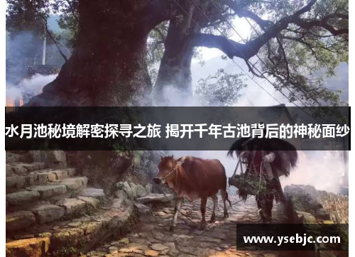 水月池秘境解密探寻之旅 揭开千年古池背后的神秘面纱 水月池秘境解密探寻之旅 揭开千年古池背后的神秘面纱